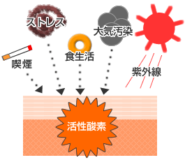 活性酸素イメージ