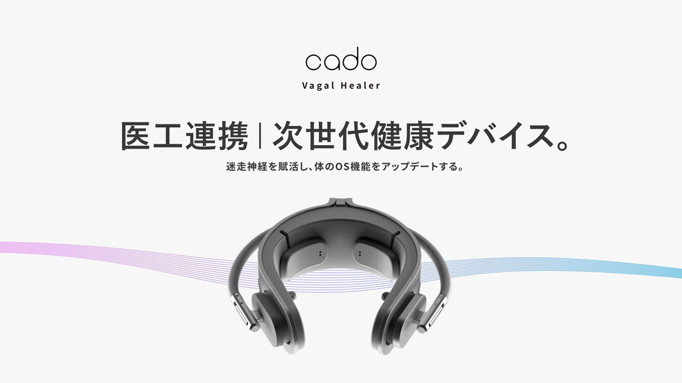 ヴェーガルヒーラー